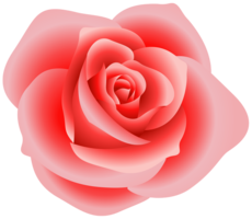 flowers & Rose free transparent png image.