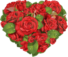 flowers & rose free transparent png image.