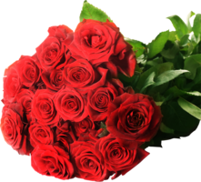 flowers & Rose free transparent png image.