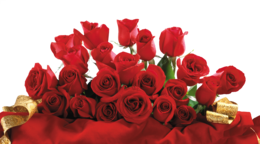 flowers & rose free transparent png image.