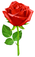 flowers & rose free transparent png image.