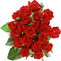 flowers & rose free transparent png image.