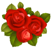 flowers & rose free transparent png image.