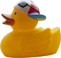 miscellaneous & Rubber duck free transparent png image.