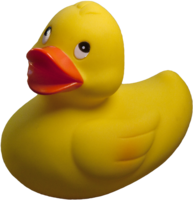 miscellaneous & Rubber duck free transparent png image.