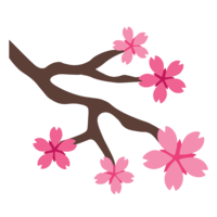 nature & Sakura free transparent png image.