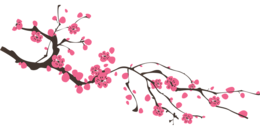 nature & Sakura free transparent png image.