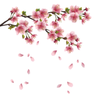 nature & Sakura free transparent png image.