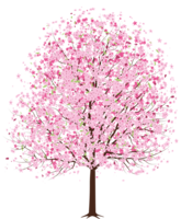 nature & sakura free transparent png image.