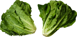 vegetables & Salad free transparent png image.