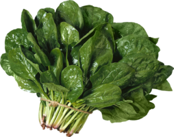 vegetables & salad free transparent png image.