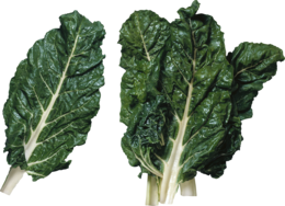 vegetables & salad free transparent png image.