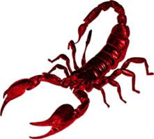 insects & Scorpions free transparent png image.