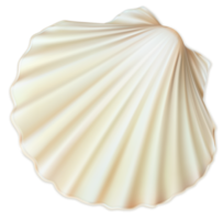 animals & Seashell free transparent png image.