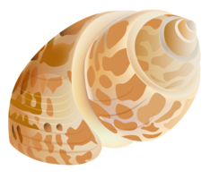 animals & Seashell free transparent png image.