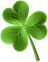 symbols & Shamrock free transparent png image.