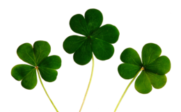 symbols & Shamrock free transparent png image.