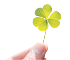 symbols & Shamrock free transparent png image.