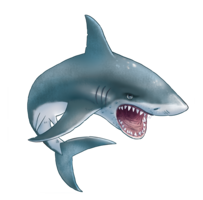 animals&Sharks png image.