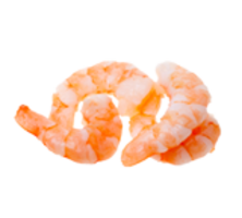 animals & Shrimps free transparent png image.