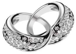 jewelry & Silver free transparent png image.