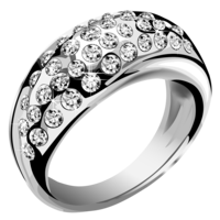 jewelry & silver free transparent png image.