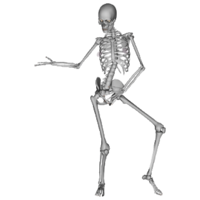 people & Skeleton free transparent png image.