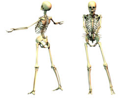 people & skeleton free transparent png image.