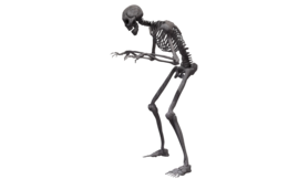 people & Skeleton free transparent png image.