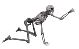 people & Skeleton free transparent png image.