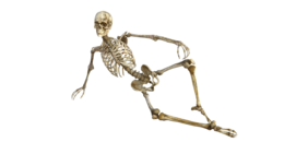 people & Skeleton free transparent png image.