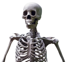 people & Skeleton free transparent png image.