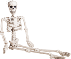 people & Skeleton free transparent png image.