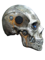 people & Skeleton free transparent png image.