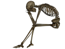 people & Skeleton free transparent png image.