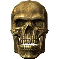 people & Skull free transparent png image.