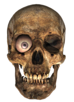 people & skull free transparent png image.