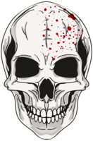 people & skull free transparent png image.