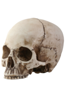 people & Skull free transparent png image.