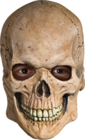 people & skull free transparent png image.