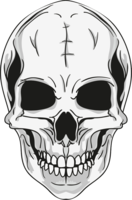 people & skull free transparent png image.