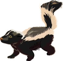 animals & Skunk free transparent png image.