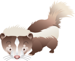 animals & Skunk free transparent png image.