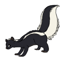 animals & Skunk free transparent png image.