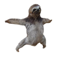 animals & Sloth free transparent png image.