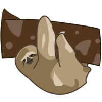 animals & Sloth free transparent png image.