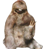 animals & sloth free transparent png image.