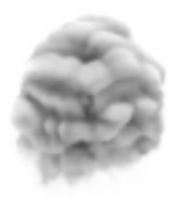 nature & Smoke free transparent png image.