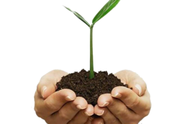 nature & soil free transparent png image.