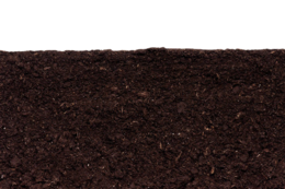 nature & Soil free transparent png image.